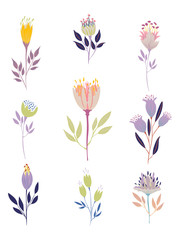 set of  colorful vector fantasy flowers