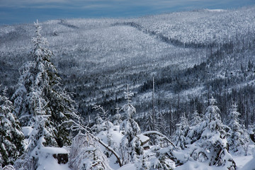 Winterwald Dreisessel