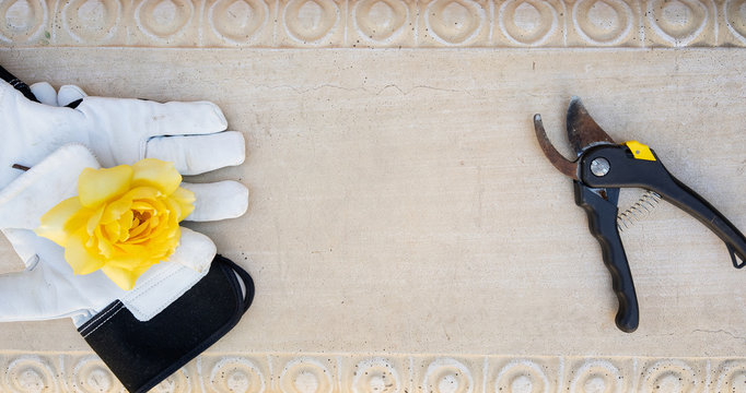 Overhead View Of Stone Bench With White Garden Gloves, Clippers And A Yellow Rose