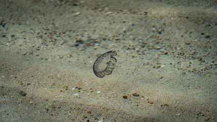 footprints in the sand