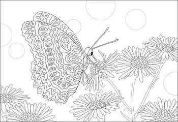 Ornate butterfly drinking nectar on a beautiful wildflower on a summer field, black and white vector cartoon illustration