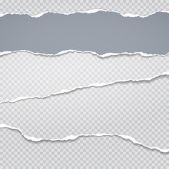 Torn, ripped pieces of horizontal blue and white paper with soft shadow are on grey squared background for text. Vector illustration