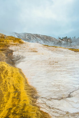Minerva Terrace, Yellowstone National Park, Wyoming, USA