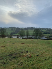 landscape with trees and blue sky