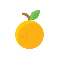 china new year related orange fruit vector in flat design