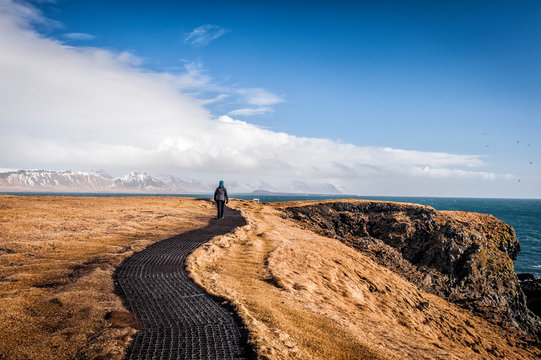 Tourist walking on Hellnar-Arnarstapi coastal path, Snaefellsnes peninsula (region of Vesturland, Iceland)