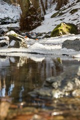 Water in the landscape