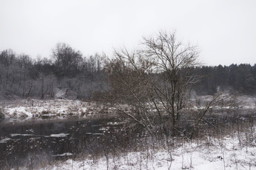 winter landscape with a river and trees