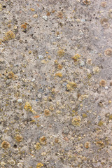 wet sand, texture of small