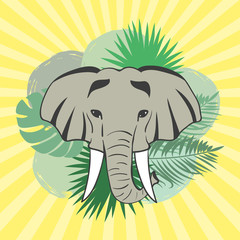 Vector illustration of elephant head and palm leaves.