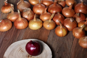 onions laid out in rows on a structural wooden background