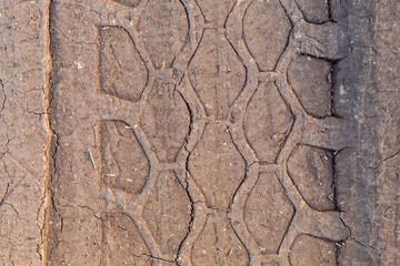 Texture of Tyres Track in Dry Soil