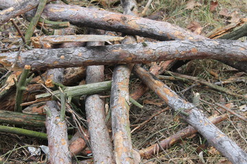 Fototapeta premium firewood