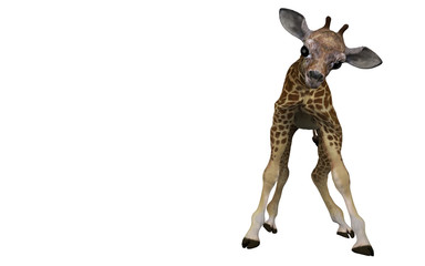 Baby giraffe calf looking at you with unstable legs 3d rendering