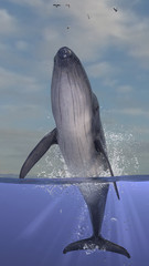 Blue whale breaching and jumping out of water line, half underwater scene with splashes and sky 3d rendering