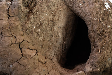 Apreciacion del gran trabajo de un nido de hornero primer plano, argentina