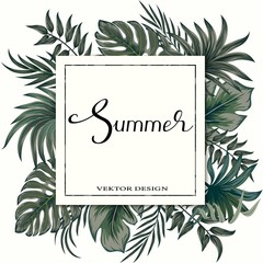 Summer tropical vector design for banner or flyer with dark green palm leaves and lettering.