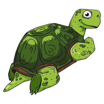 Turtle. Vector illustration of a sea turtle. Hand drawn cartoon tortoise.