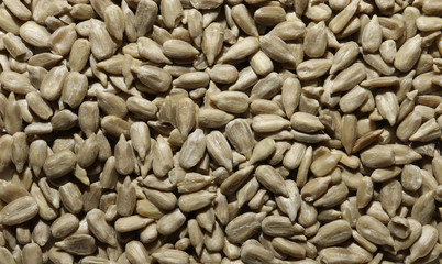 Photography of sunflower seeds pattern for food background