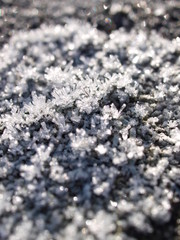 Moos, moss, winter, Raureif, frost, Eiskristalle