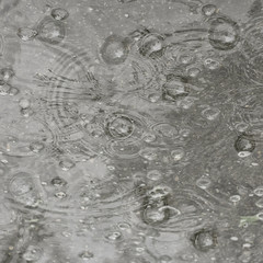 background puddle rain / circles and drops in a puddle, texture with bubbles in the water, autumn rain