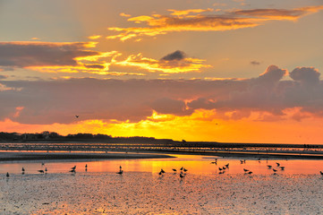 Crépuscule en Baie de Somme face à la pointe du Hourdel