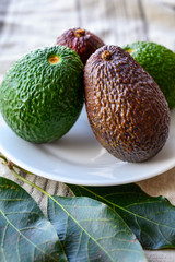 Fresh ripe green and brown avocados ready to eat
