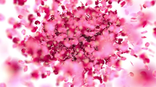 heart of rose petals is blown away by the wind