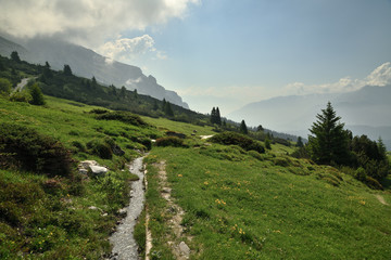 Almlandschaft am Morgen