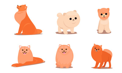 Friendly brown fluffy dogs in different poses vector illustration