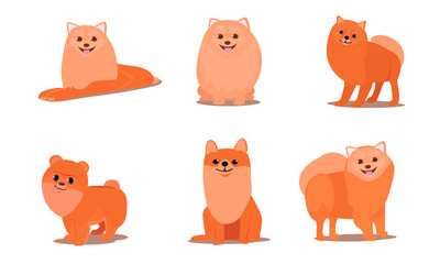 Friendly brown fluffy spitz dogs in different poses vector illustration
