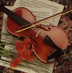 Violon, archet et fleurs orangées sur partitions de musique classique