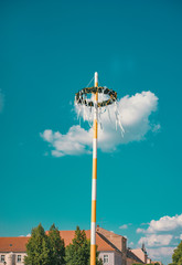 Maibaum