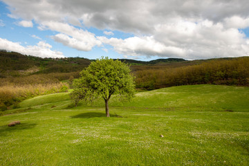 APPENNINO TOSCO EMILIANO | MAB UNESCO