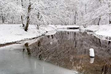 Winter landscape with snow-covered forest and lake