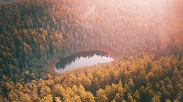 Natural lake surrounded by forest, aerial view, autumn