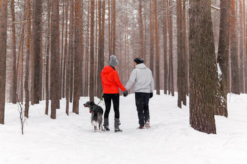 Fototapeta na wymiar young couple walking a dog in the winter forest