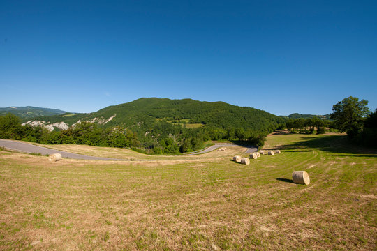 VETTO D'ENZA PROVINCIALE 513