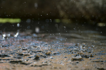 rain drops 