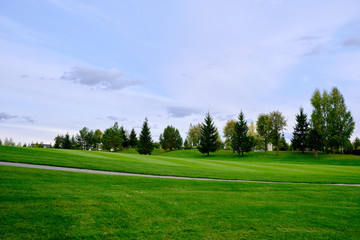 View of the golf course with green lawn trees and ornamental shrubs. Golf course, beautiful scenery.