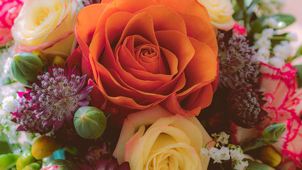 Hintergrund bunte Blumen mit Rose