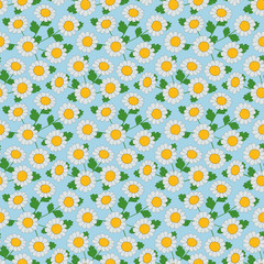 Vector background, seamless pattern with hand-drawn camomile flowers. EPS 10