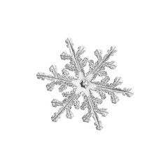 Snowflake isolated on white background. Macro photo of real snow crystal: elegant stellar dendrite...