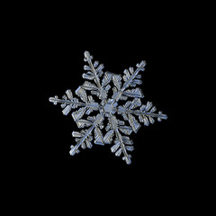 Snowflake isolated on black background. Macro photo of real snow crystal: complex stellar dendrite...