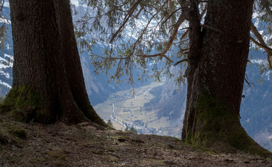 View of the Lauterbrunnen Valley  from above the village of Wengen in the Swiss Alps, photographed on a cold crisp day in January 2020.