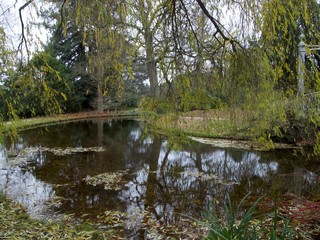 Fototapeta premium Arboretum de la Vallée-aux-Loups