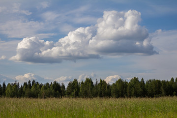 cloud over the meadow and trees