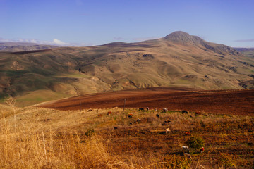 scenery. magnificent mountains covered with sand and yellow grass
