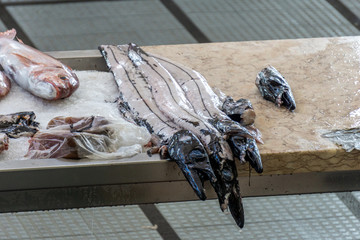 Fresh fish ready for sale in a fish market