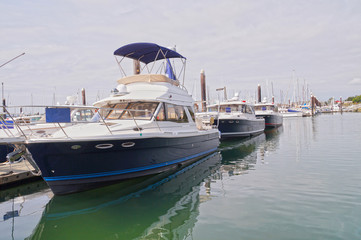 Fototapeta premium Bellingham Bay. USA. Boats for sale moored in a marina.